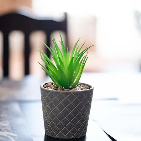 Apartamento Sveti Vlas Apartments *