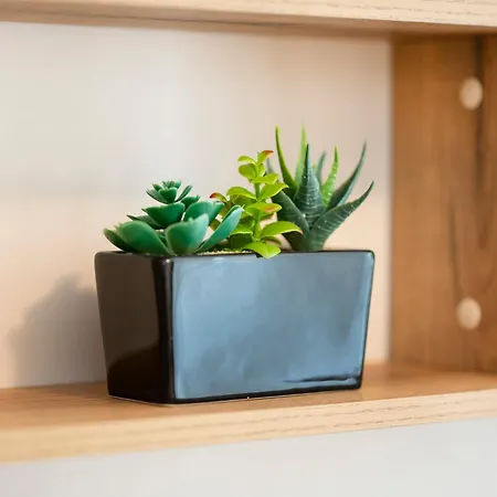 Sveti Vlas Apartments * Sveti Vlas