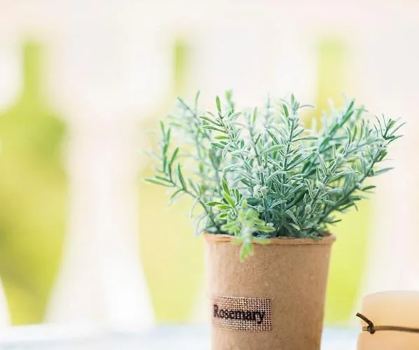 Lejlighed Sveti Vlas Apartments Sveti Vlas