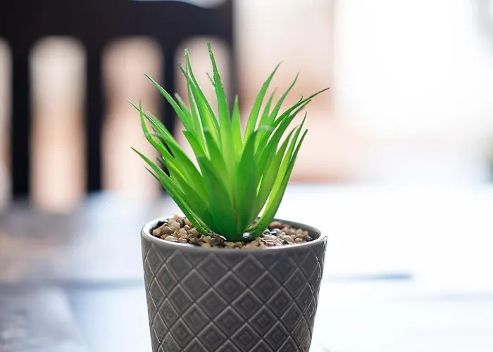 Lejlighed Sveti Vlas Apartments *