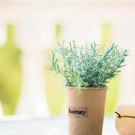 Apartment Sveti Vlas Apartments Sveti Vlas