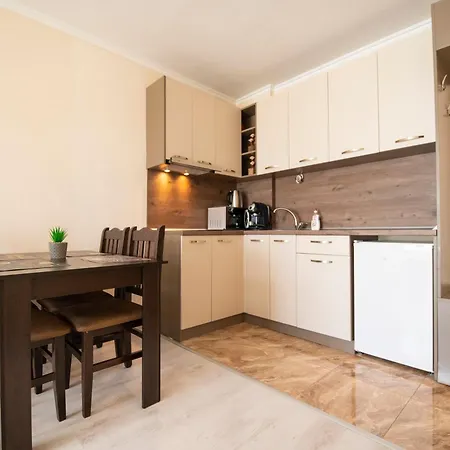 公寓 Sveti Vlas Apartments