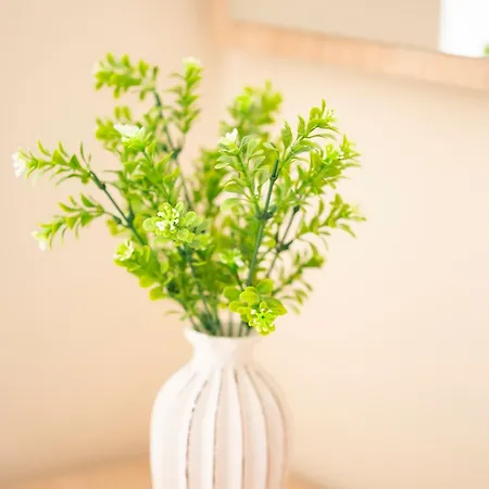 Sveti Vlas Apartments * Sveti Vlas