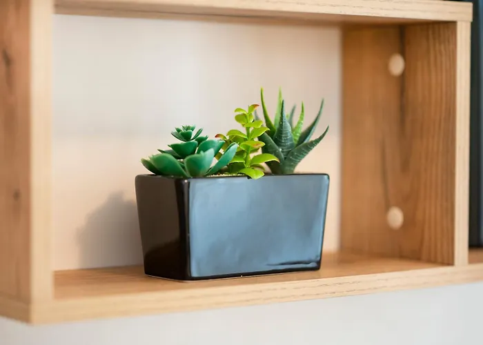 Sveti Vlas Apartments * Święty Włas