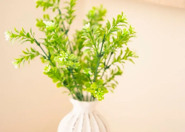 Sveti Vlas Apartments * سفيتي فلاس